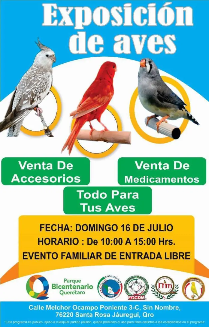 Eventos Oficiales CCQ