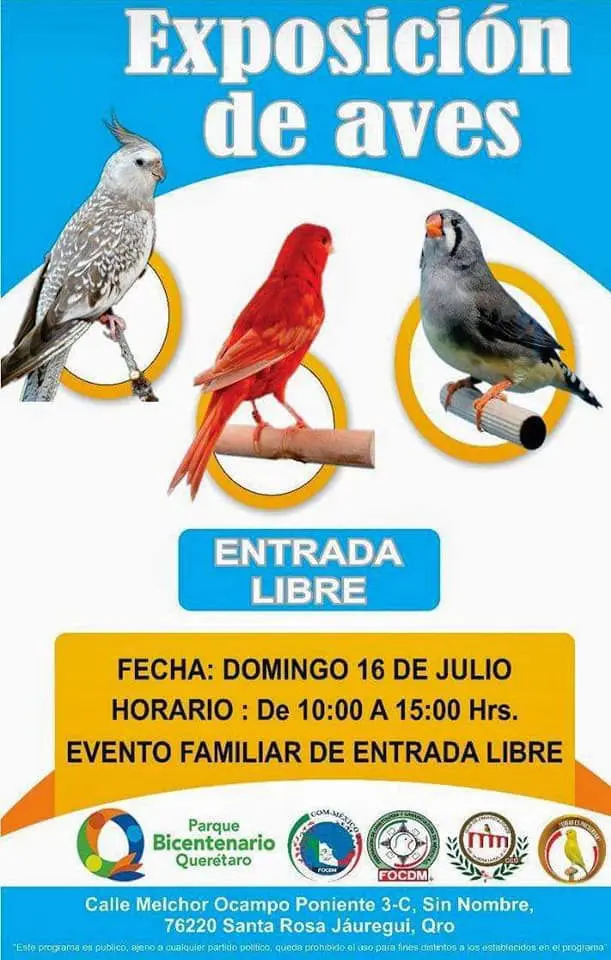 1er-Exposicion-De-Aves-CCQ-2023-Parque-Bicentenario-Queretaro-FOCDM-F