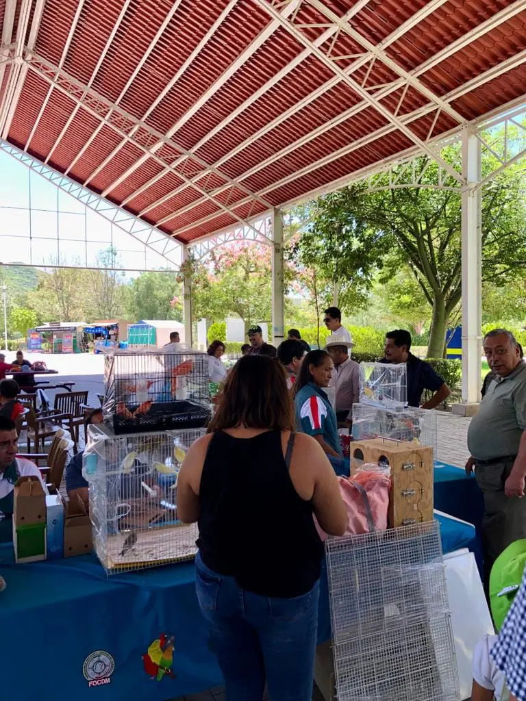 1er-Exposicion-De-Aves-CCQ-2023-Parque-Bicentenario-Queretaro-FOCDM-F