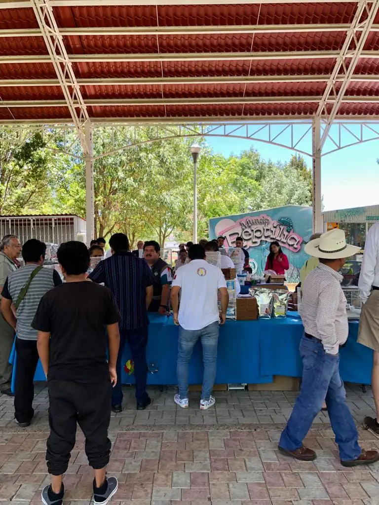 1er-Exposicion-De-Aves-CCQ-2023-Parque-Bicentenario-Queretaro-FOCDM-F