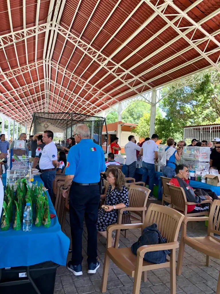 1er-Exposicion-De-Aves-CCQ-2023-Parque-Bicentenario-Queretaro-FOCDM-F