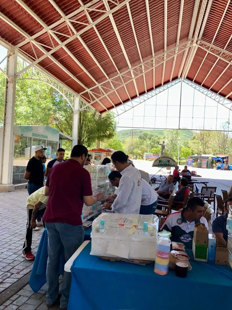 1er-Exposicion-De-Aves-CCQ-2023-Parque-Bicentenario-Queretaro-FOCDM-F