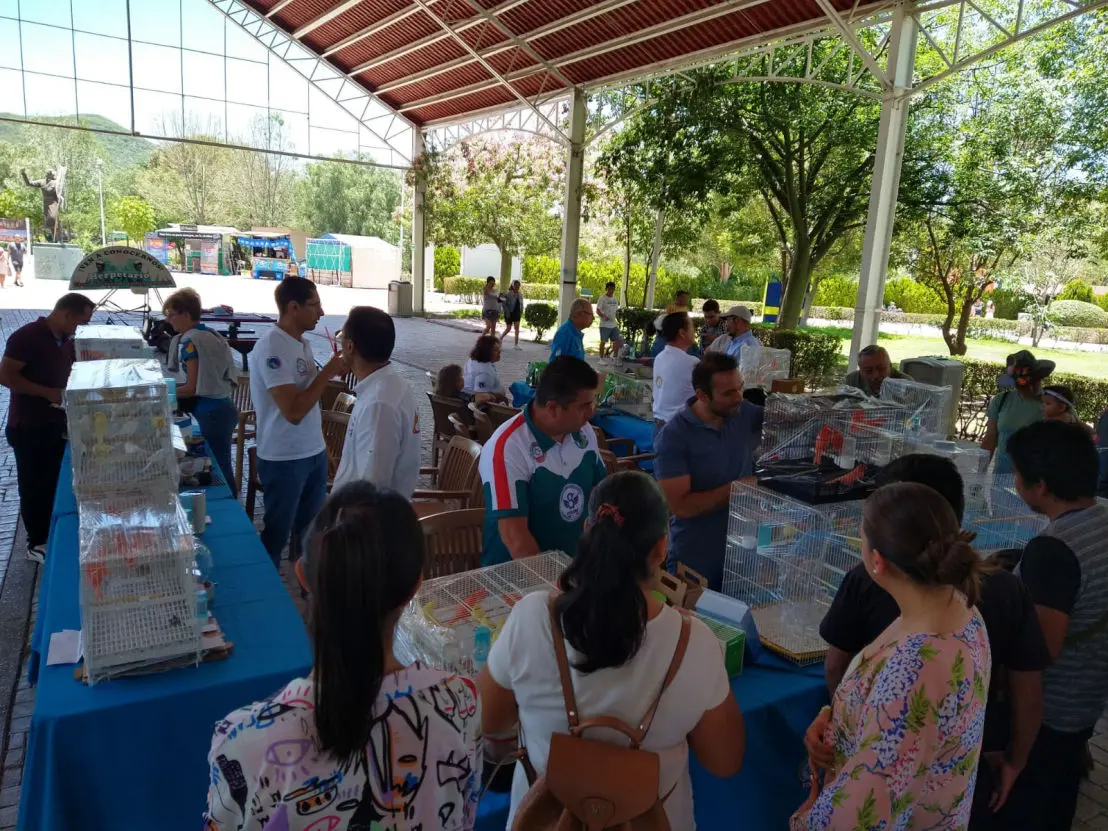 1er-Exposicion-De-Aves-CCQ-2023-Parque-Bicentenario-Queretaro-FOCDM-F