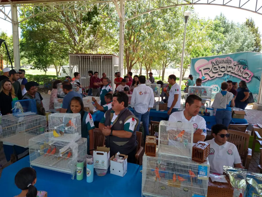 1er-Exposicion-De-Aves-CCQ-2023-Parque-Bicentenario-Queretaro-FOCDM-F