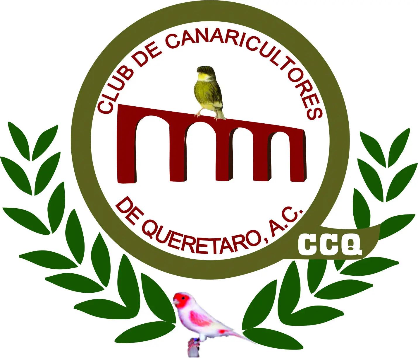 Eventos Oficiales CCQ